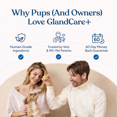 Lorin - GlandCare+ Anal Gland Chews for Dogs — Natural Gland Support Supplement