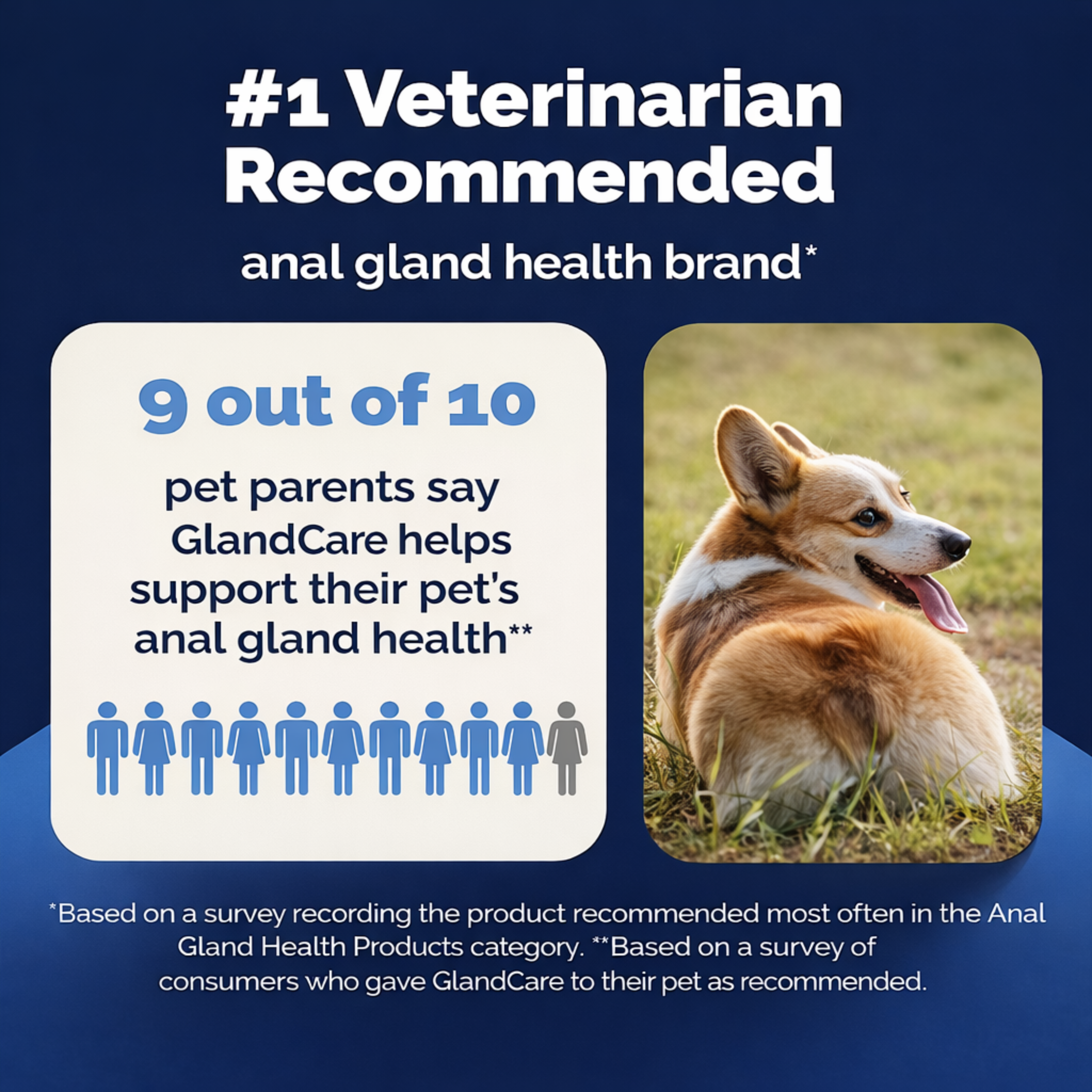 Lorin - GlandCare+ Anal Gland Chews for Dogs — Natural Gland Support Supplement